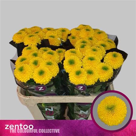 FeedSync:wholesale:44a732014eb7ac3603f02ab5b84fe49d487c99f2