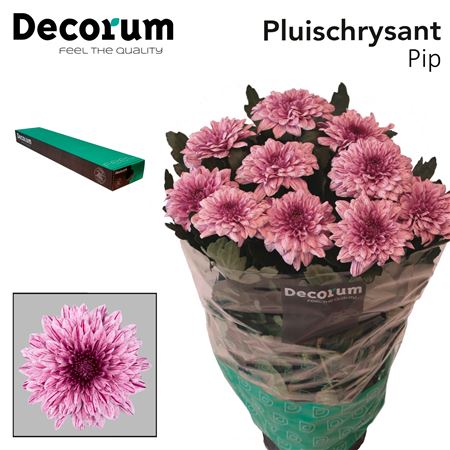 FeedSync:wholesale:d913dcfcffc99adb1037d264ad3e22ba072d22ec
