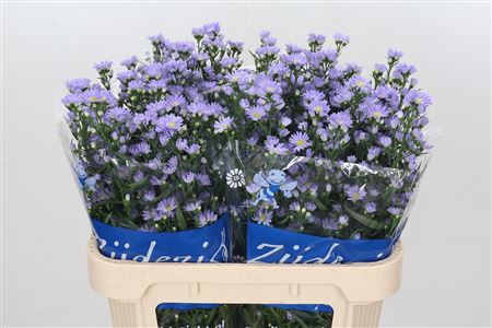 FeedSync:wholesale:0a5e492a561e791c1b1a8007acccf05acb80fa0e