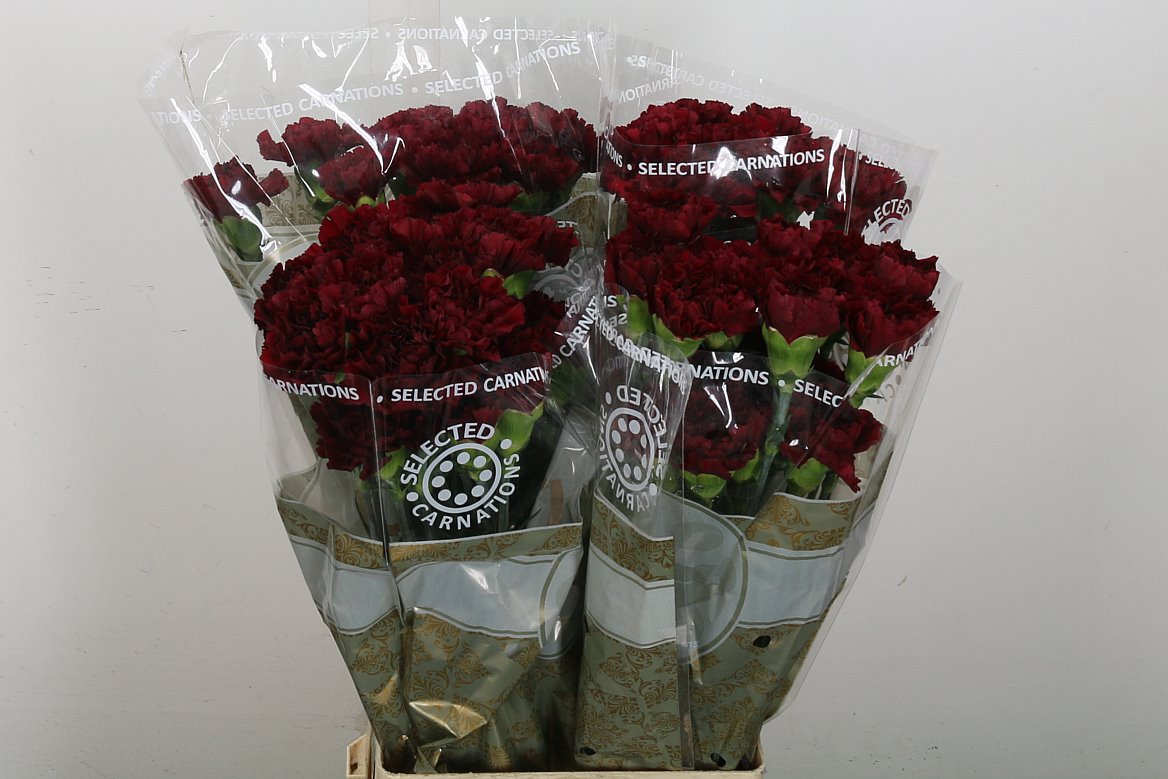 FeedSync:wholesale:8c438d0d040a36df8b28e9cc1a989d0885c257ed