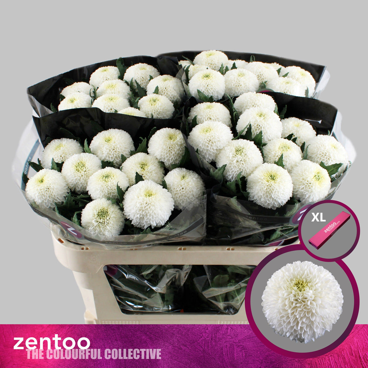 FeedSync:wholesale:5b7e816510e616e4d4ab6cc0ab46b77ff2b3dd01