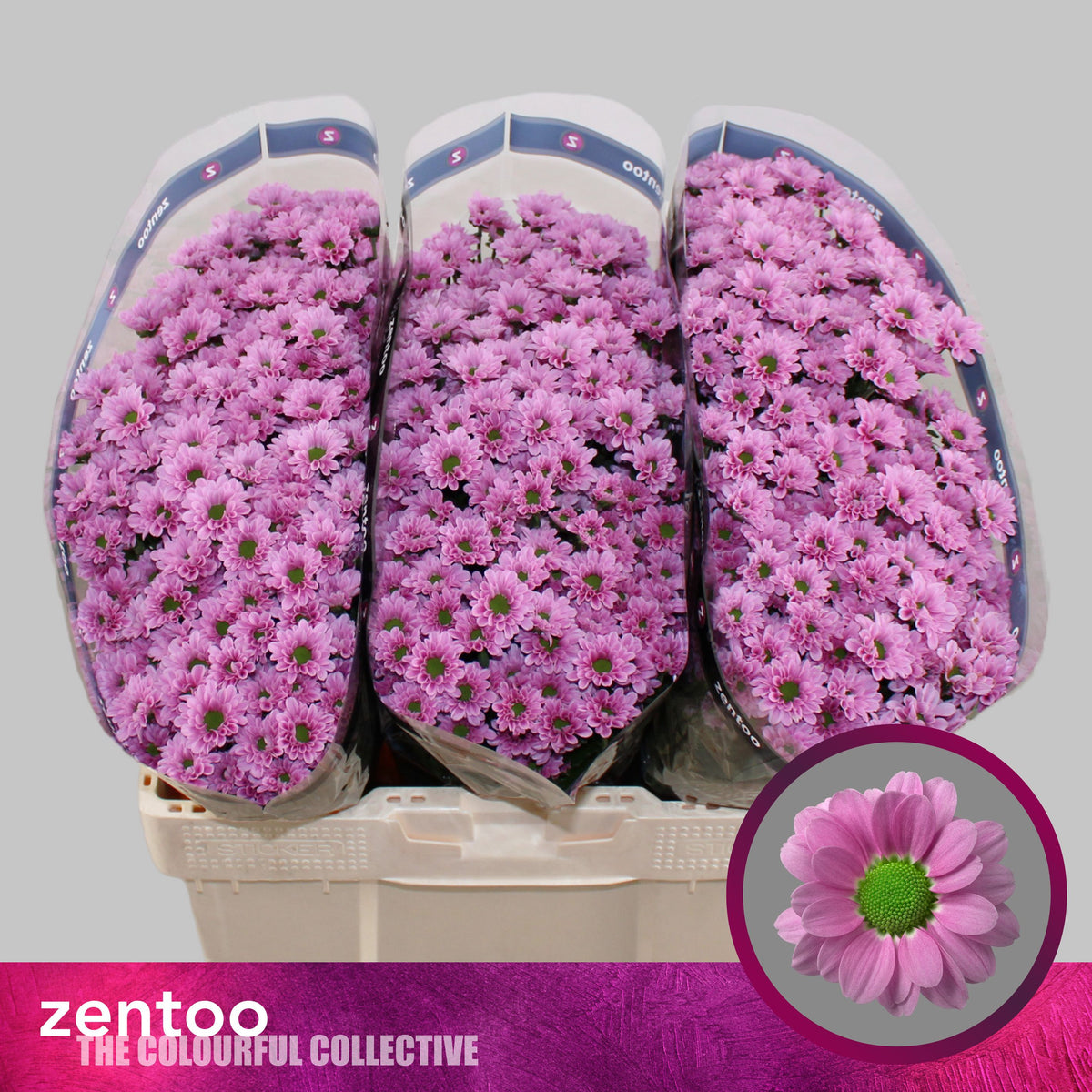 FeedSync:wholesale:ca3a7bcfb58352b9d5b6633ccd4edb0c82385a30