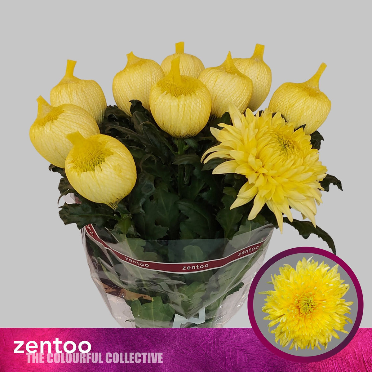 FeedSync:wholesale:40a6db26a9a1b7b80ae04a439a7ff626f132fe29