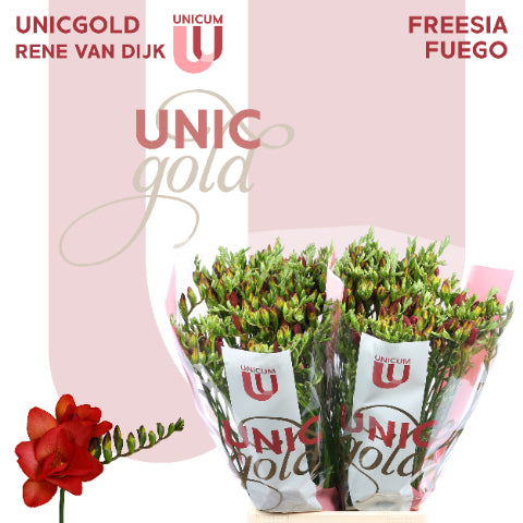 FeedSync:wholesale:1ad04fb4249fba293b4854d7ba479a5d308692d1