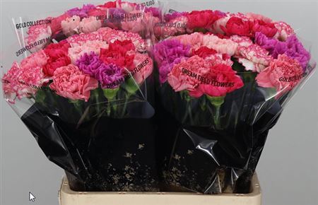 FeedSync:wholesale:17644ffdfb2434e0ad7b52c83f46e42931bd58d9