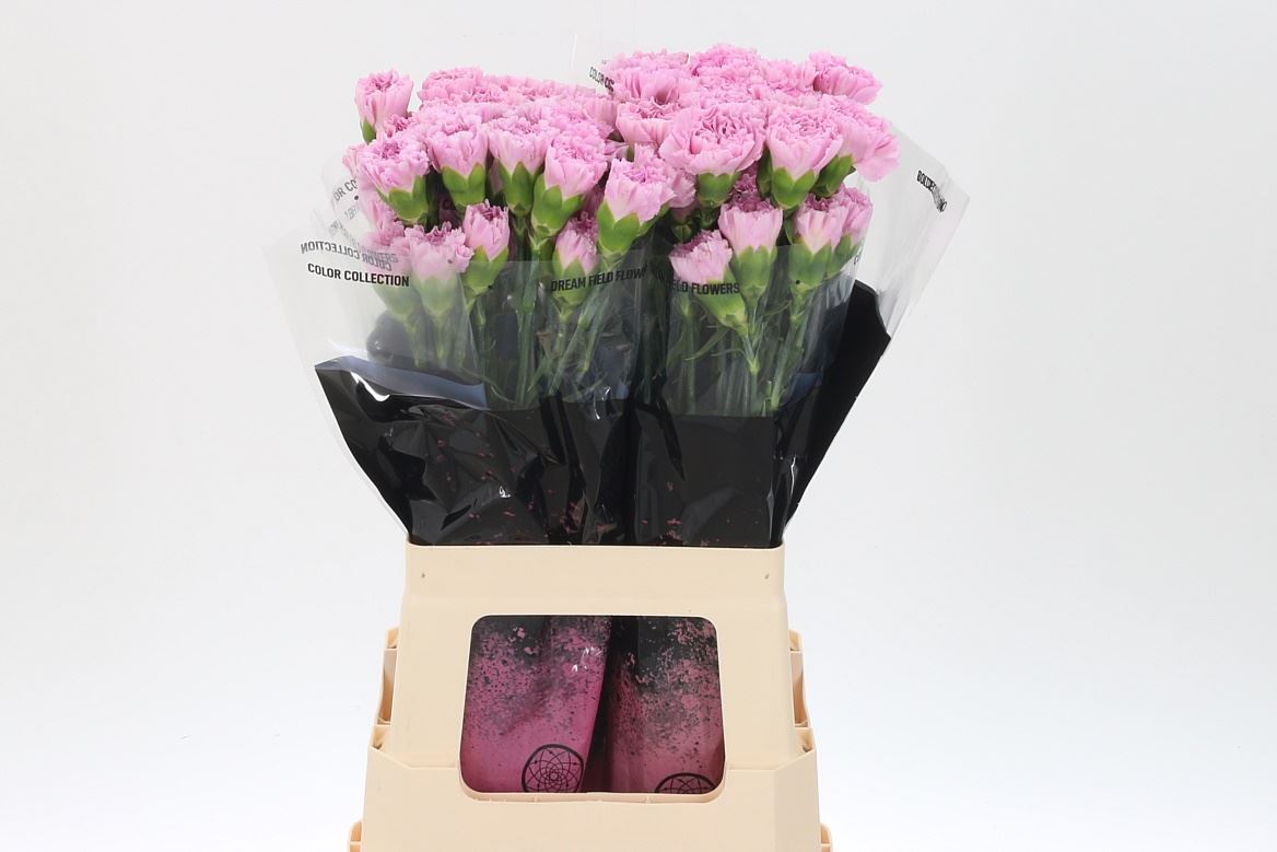 FeedSync:wholesale:827f74282c49c06363e80994521124a32f7b0c89