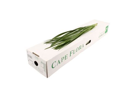FeedSync:wholesale:f76c6c5336b0c6ade7b2535675c8a226baf6a6d0