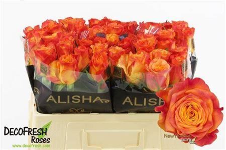 FeedSync:wholesale:351925aa081bca845621dfe8900328482b6e2cf5