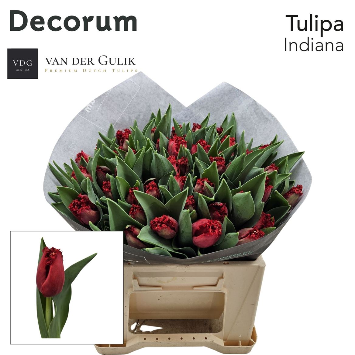 FeedSync:wholesale:92e59c57e12834de6ecbac90a3c61de1f04ce16e