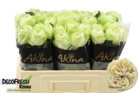 FeedSync:wholesale:c9efd27f8a96c272ed742e461127e860cc5113c7
