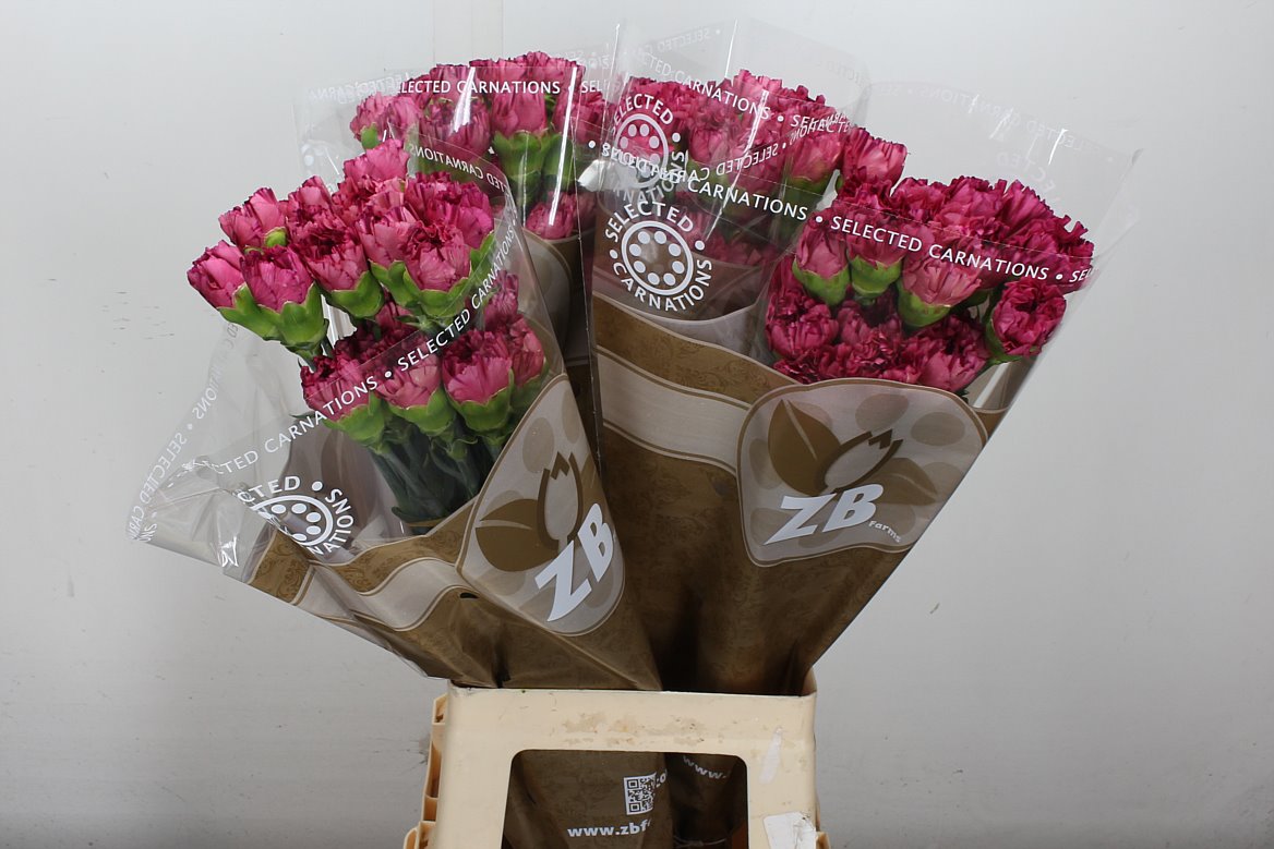 FeedSync:wholesale:d07b7f2327370f6f741ed39e417ac80ccbb36f18