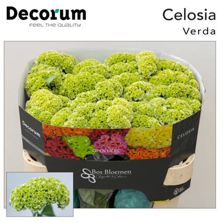 FeedSync:wholesale:54d914d8d5056d650df633a25d23642405ebe9e0