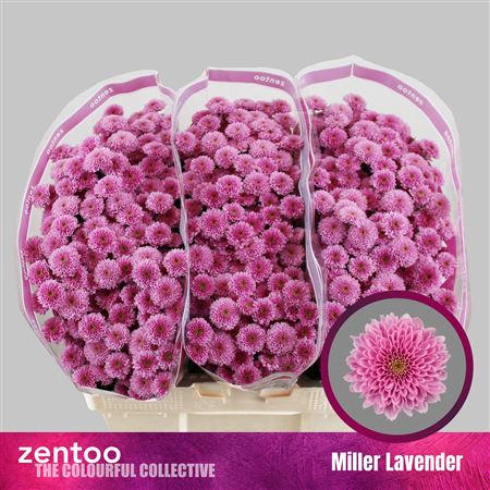 FeedSync:wholesale:81b17f892655f9fe45c264d4f656a23b090f8349