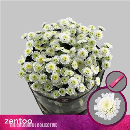 FeedSync:wholesale:75cde8af6874682b7b39c542bd344372c894b388