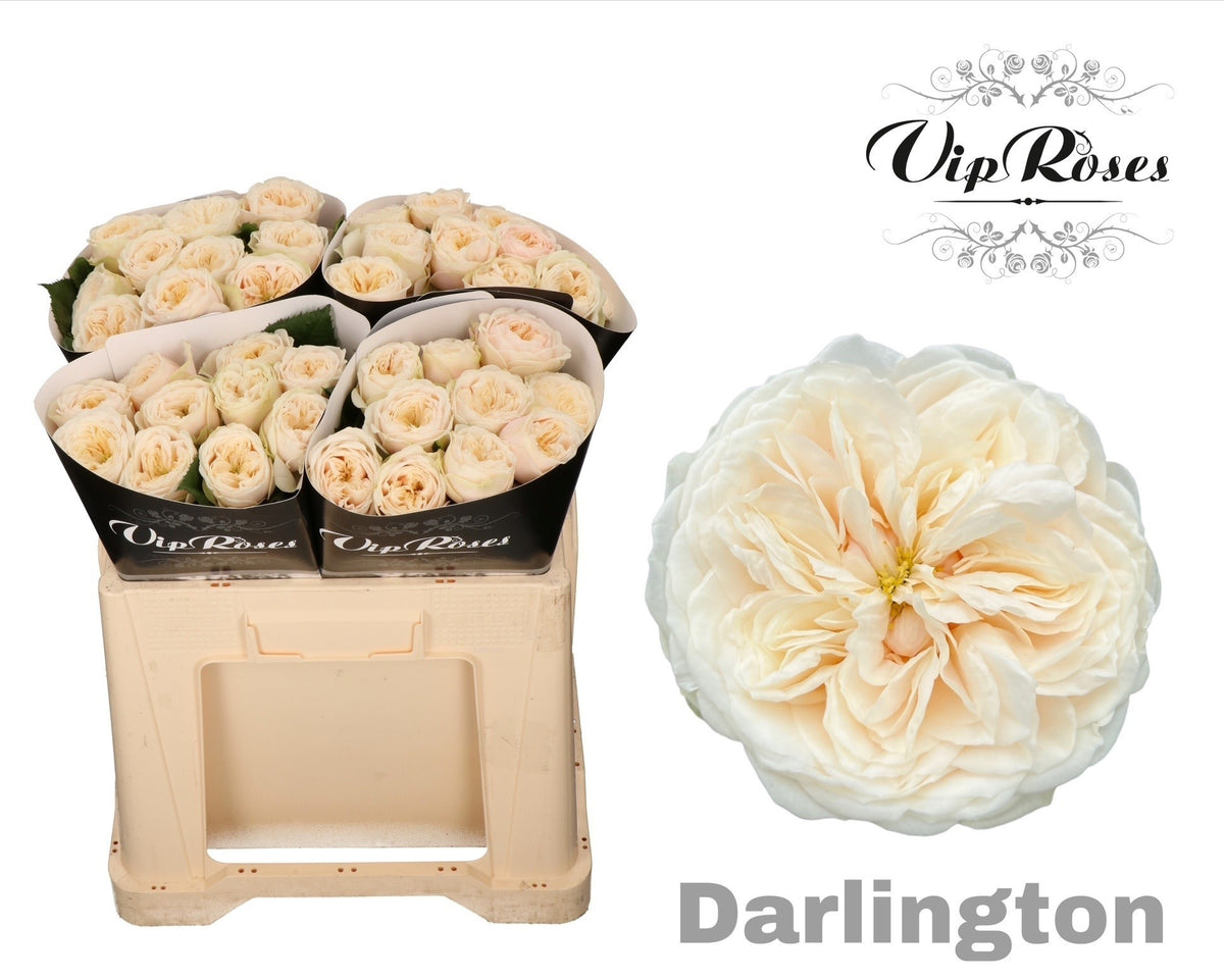FeedSync:wholesale:4a6eb8f944bdd620e8a621b4a390549ea4d1feab