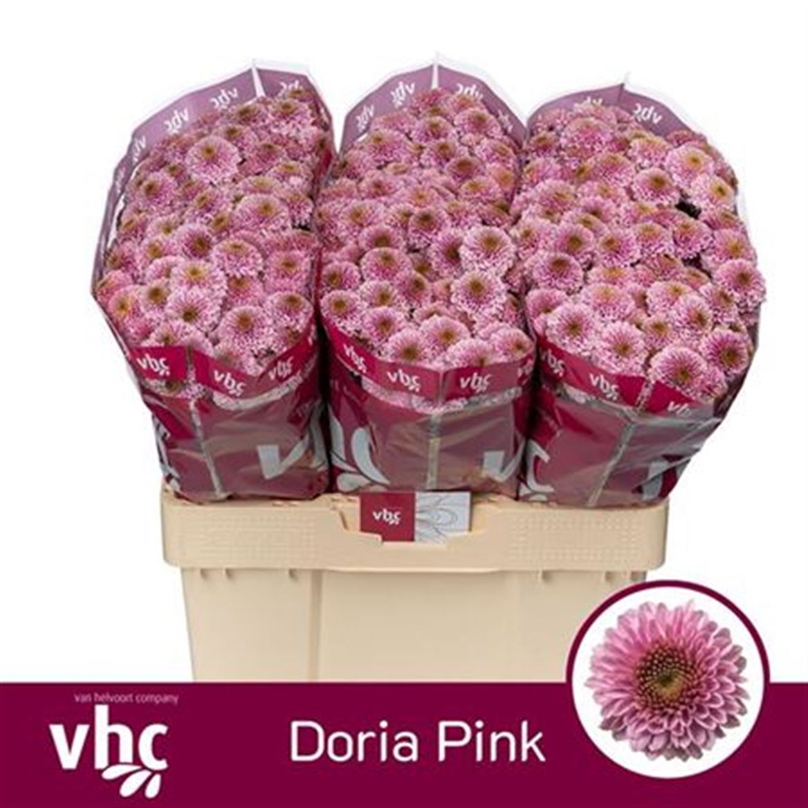 FeedSync:wholesale:167129aa10a0076c435d91612cb998b8f4820ee0