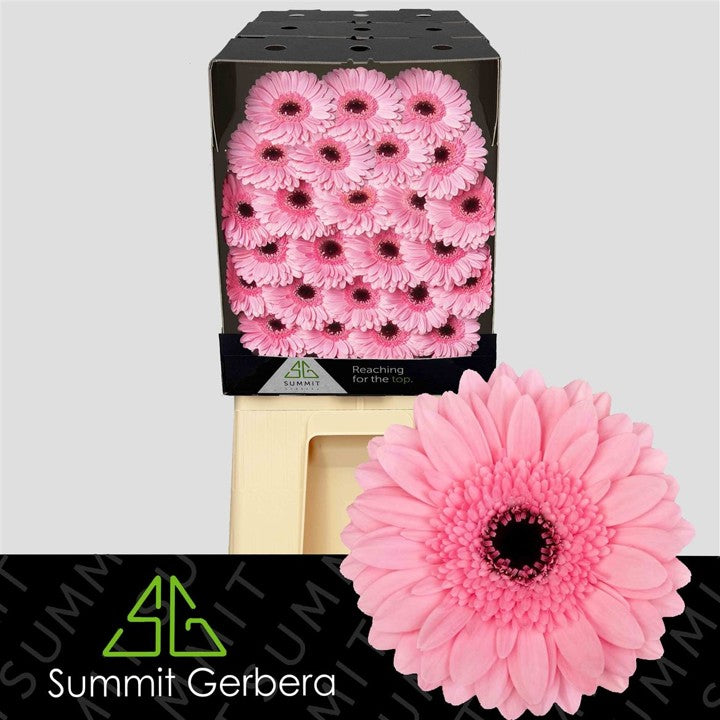 FeedSync:wholesale:bbd9de24f4f91bb57e108e2b06818c7f5524ddd4