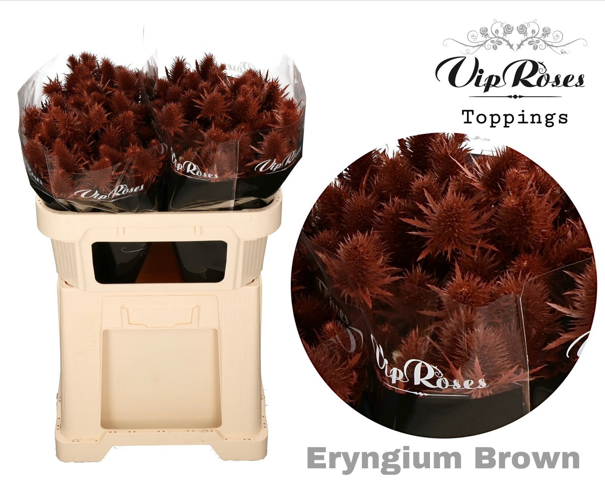 FeedSync:wholesale:b34fc5ac39a6705ec348b4837d324de6e1574888