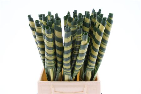 FeedSync:wholesale:b47ae780e7332677051bccdbd5575f450a3218ec