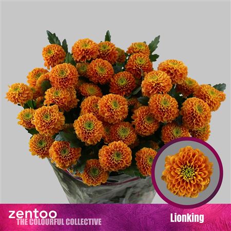 FeedSync:wholesale:db44d34efa22d3b1baf388470a648ebb9812dc04