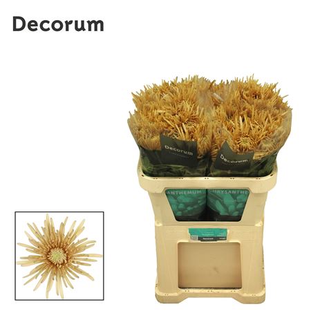 FeedSync:wholesale:f6abee1d05d484b9a94425ac7398a64906c509bd