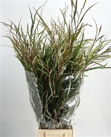 FeedSync:wholesale:33ccbeb49203d200e428dbdacdf48c56e57042de