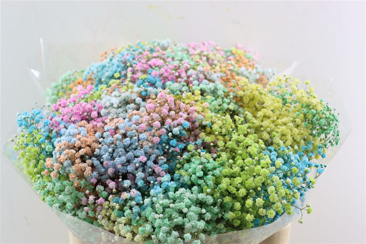 FeedSync:wholesale:0ee7287ca970fe2f6ba2910b2233deefe3b9db14
