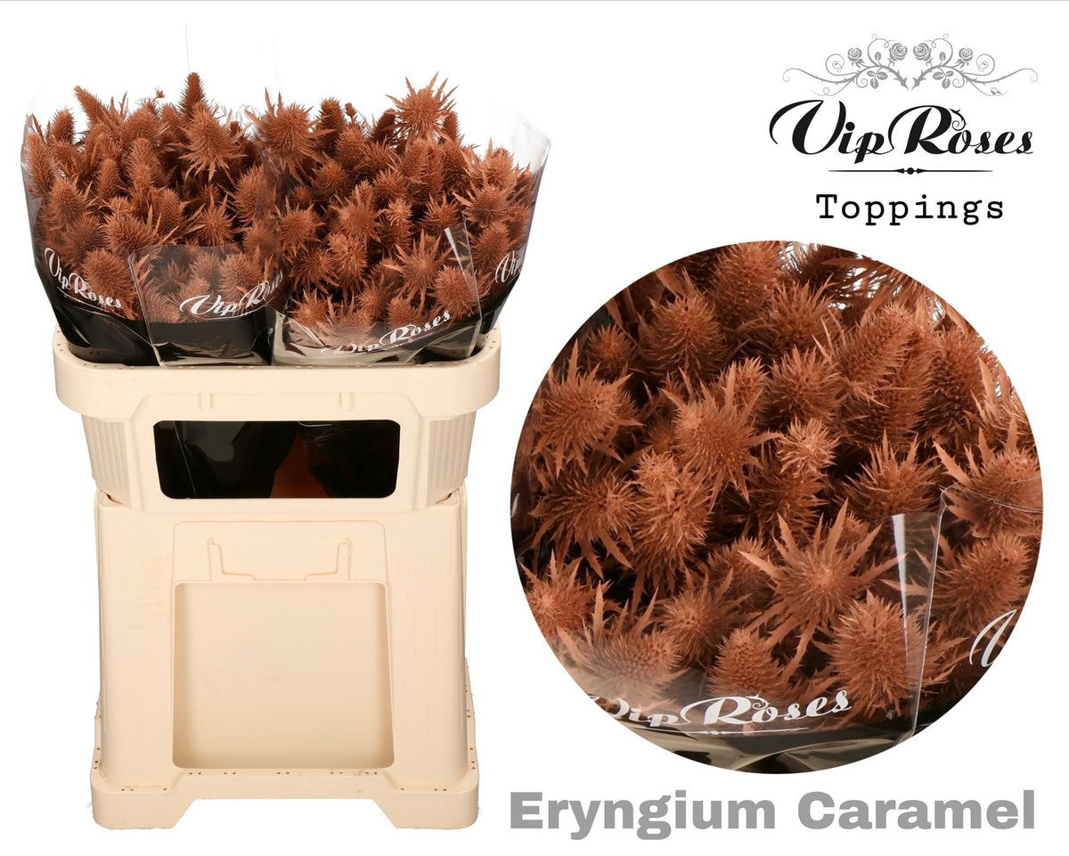 FeedSync:wholesale:0da02570ea32c16a15faa5be88013d07cb5c9b00