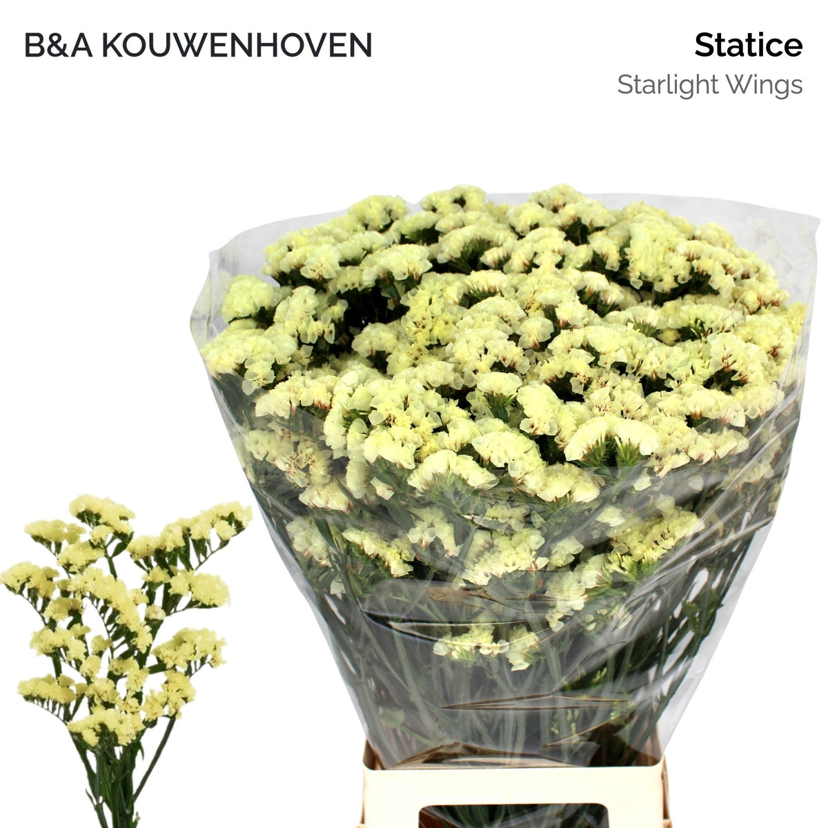 FeedSync:wholesale:dccad6ae22ada4d6eaeee90bddba259f4cc03112