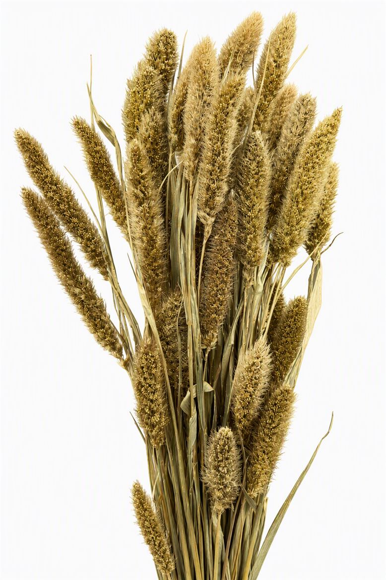 FeedSync:wholesale:f89fecb12d13b31bf7fa04435a7bf48a861fb073