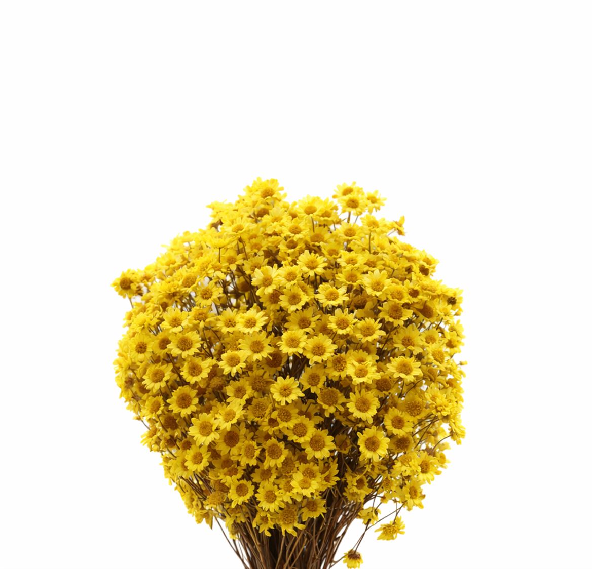 FeedSync:wholesale:e5f93d8cdcc2f4da720ab273ecc48bfc13e99812