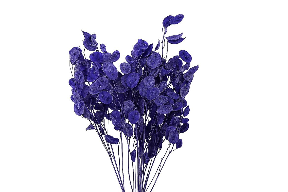 FeedSync:wholesale:c392e1285606f87136b90860f409da2bd65f0fef