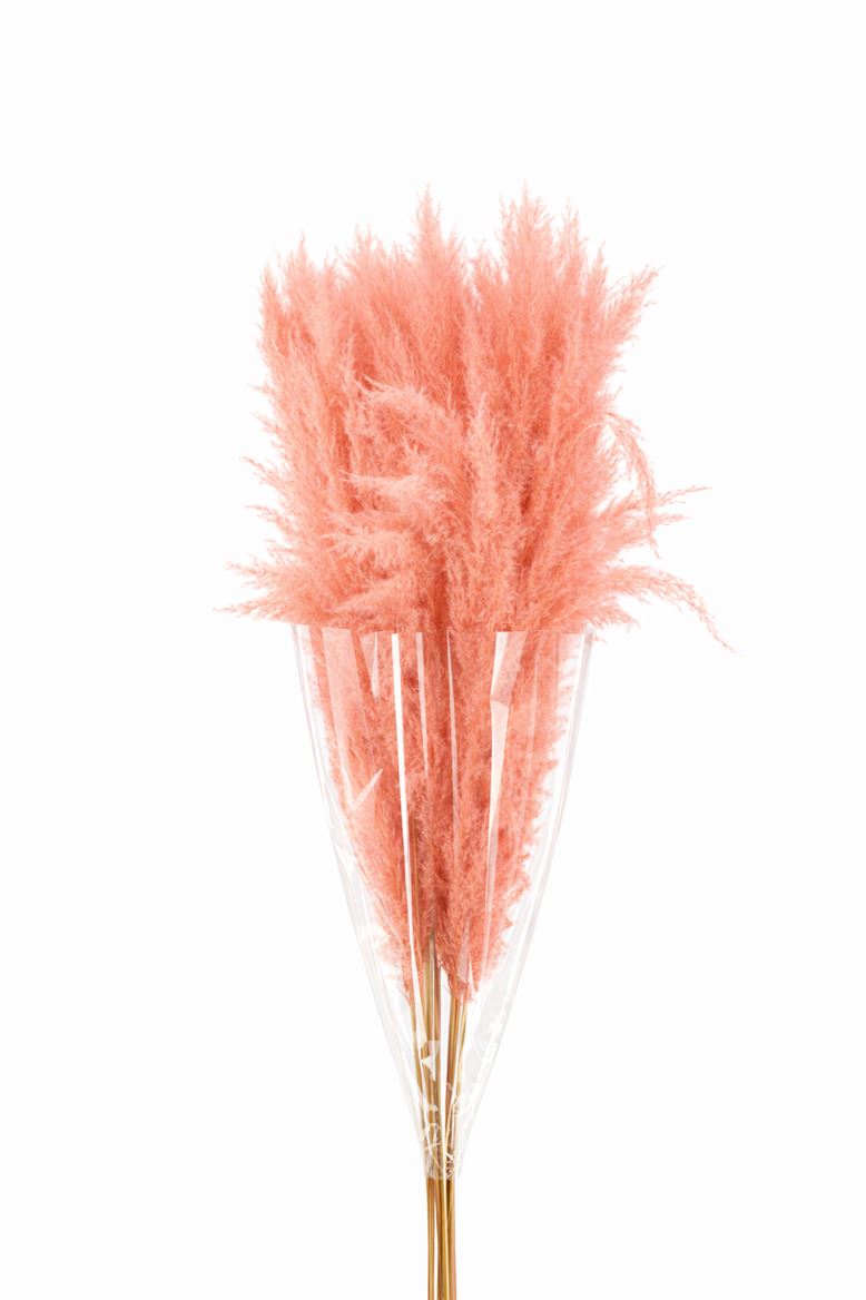 FeedSync:wholesale:f158af58af45e75da88c6f332ca500aece905e2e