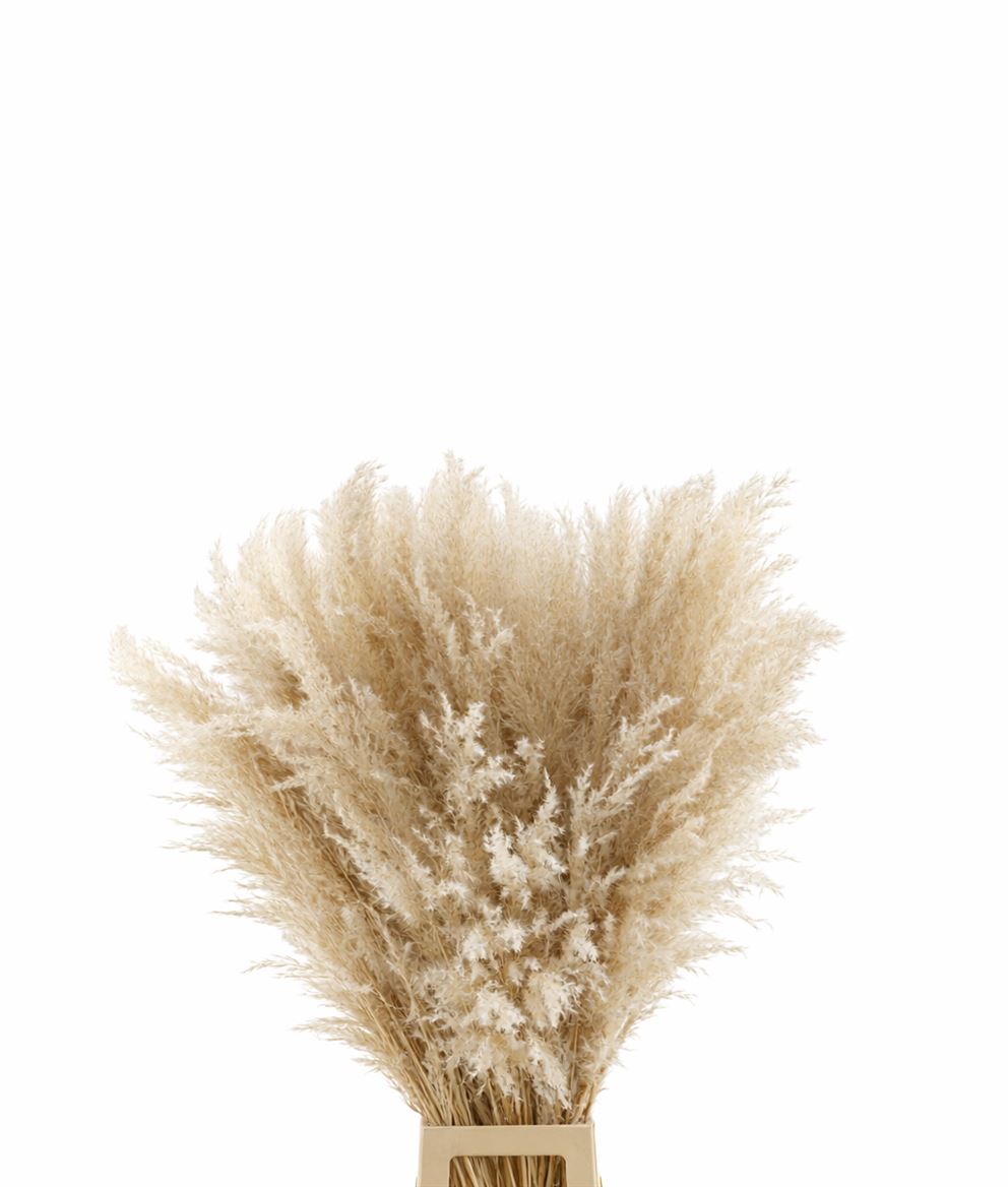 FeedSync:wholesale:92e1511d9941625934cc0fca5e7bf5c0f9407d33