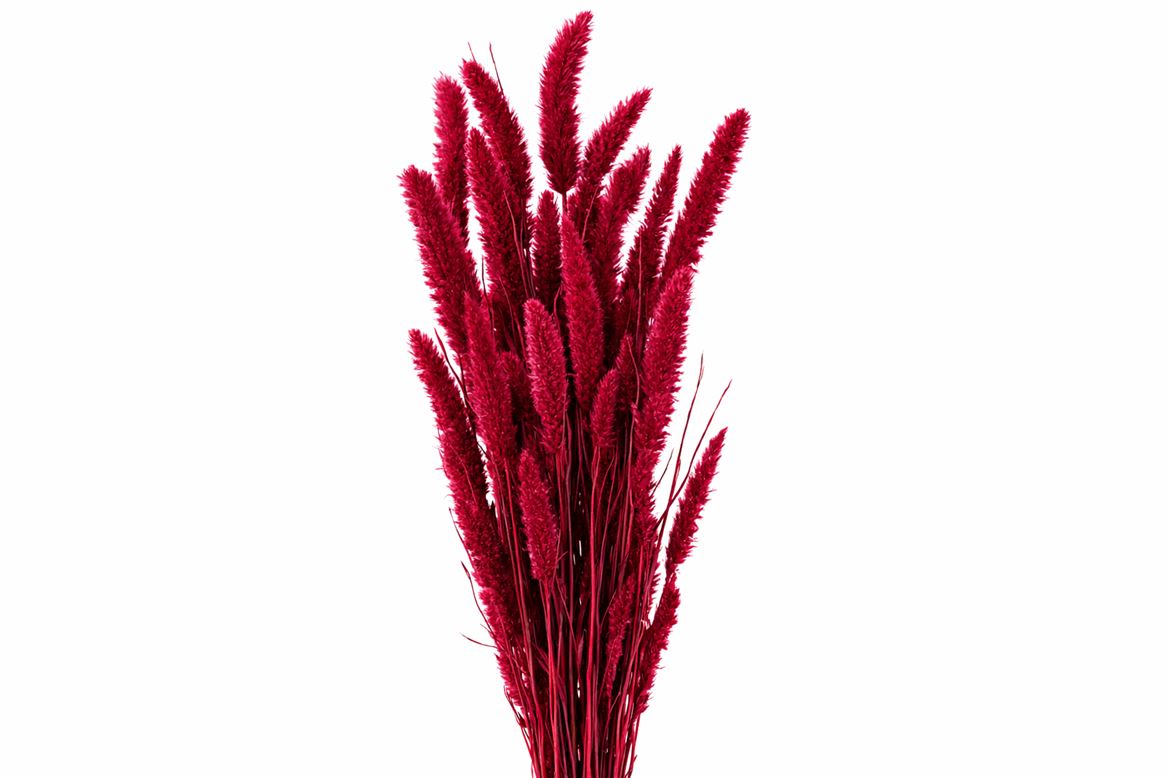 FeedSync:wholesale:ffb0aaf0e27810af5338fb61f154f2bc8642d0fa