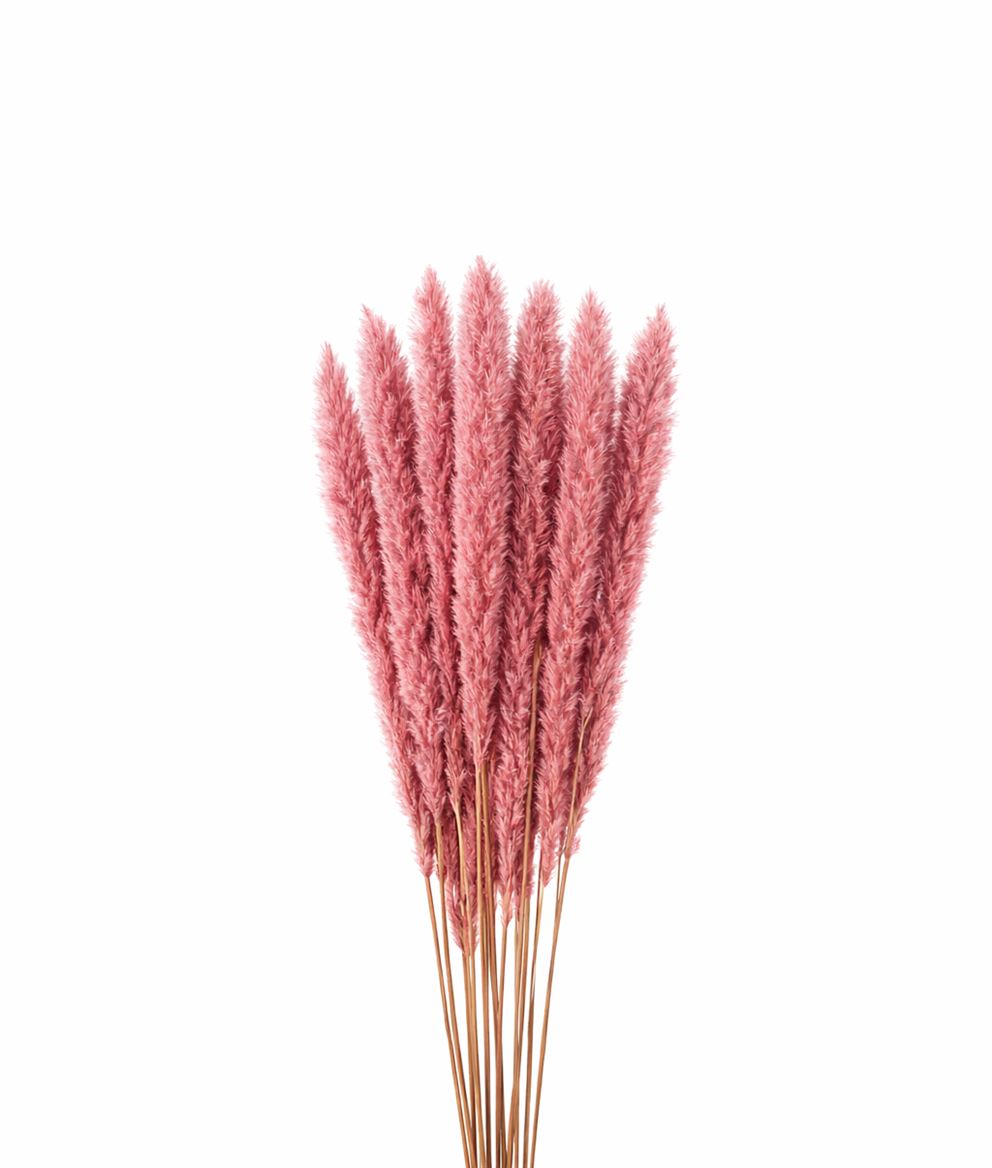 FeedSync:wholesale:7c5f0a1c2f9b6d7b82a4008389caf66fad0c1d00