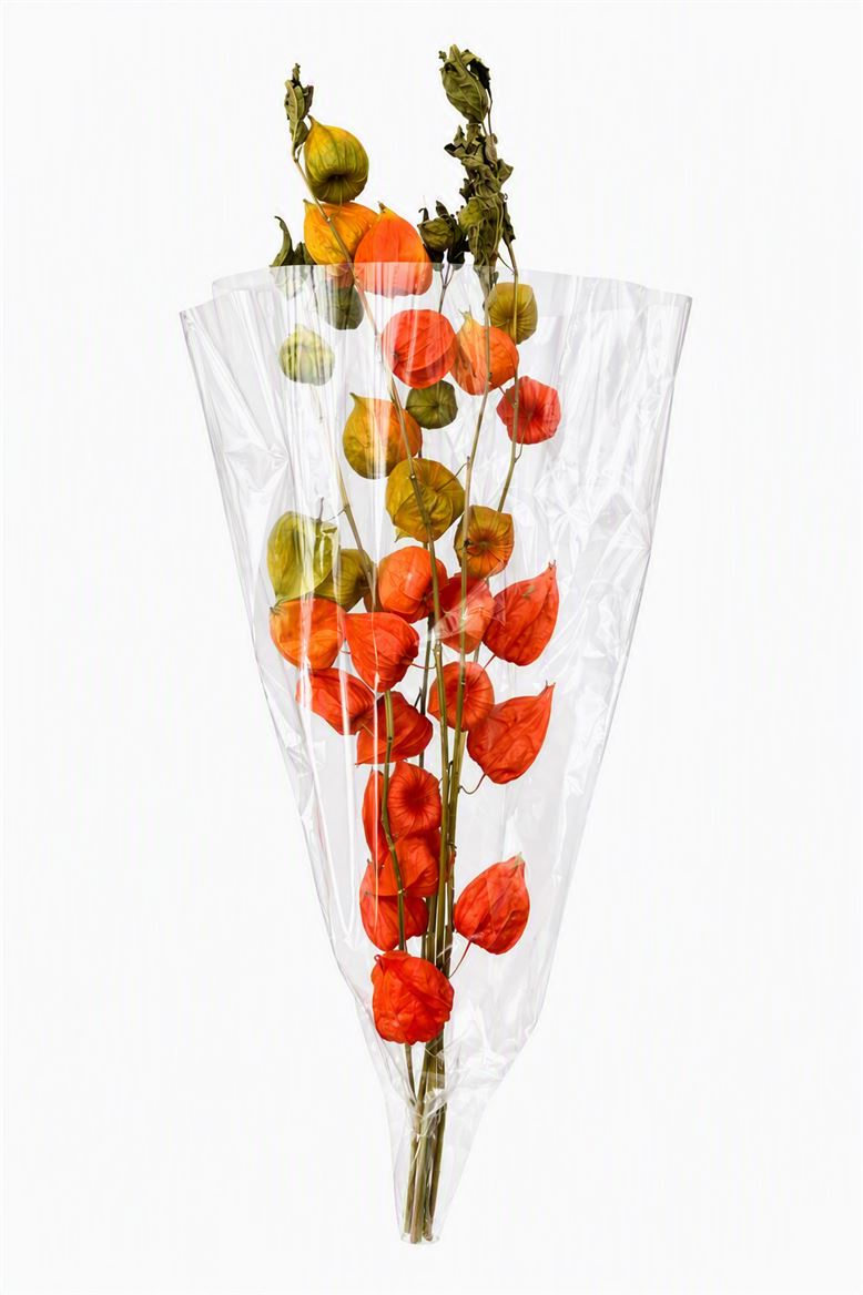 FeedSync:wholesale:14daa4e50200f7cf84c1b0c708c07840128d76f1