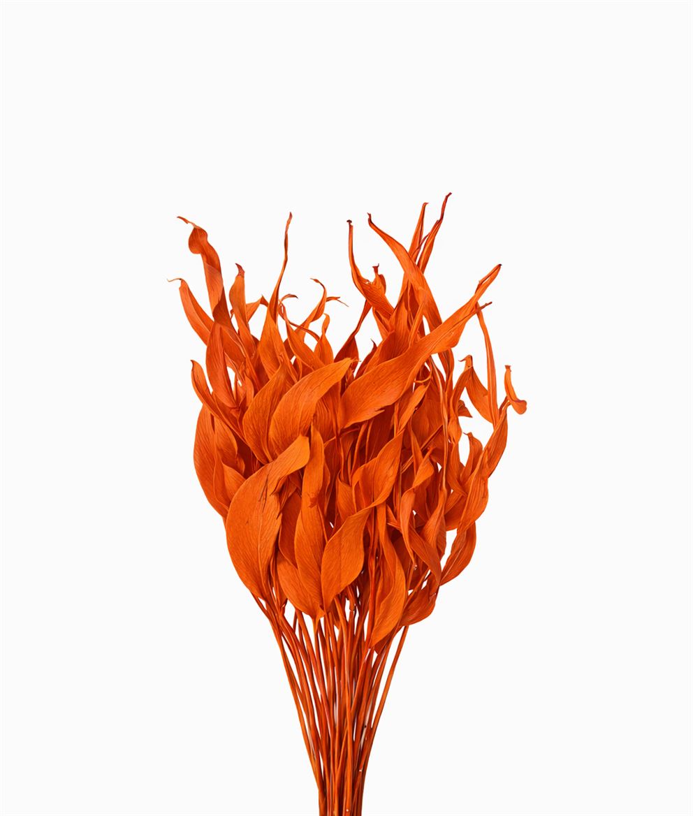 FeedSync:wholesale:b0d620e2d2cec57999ce7c3a7c7dab518cf4f8c7