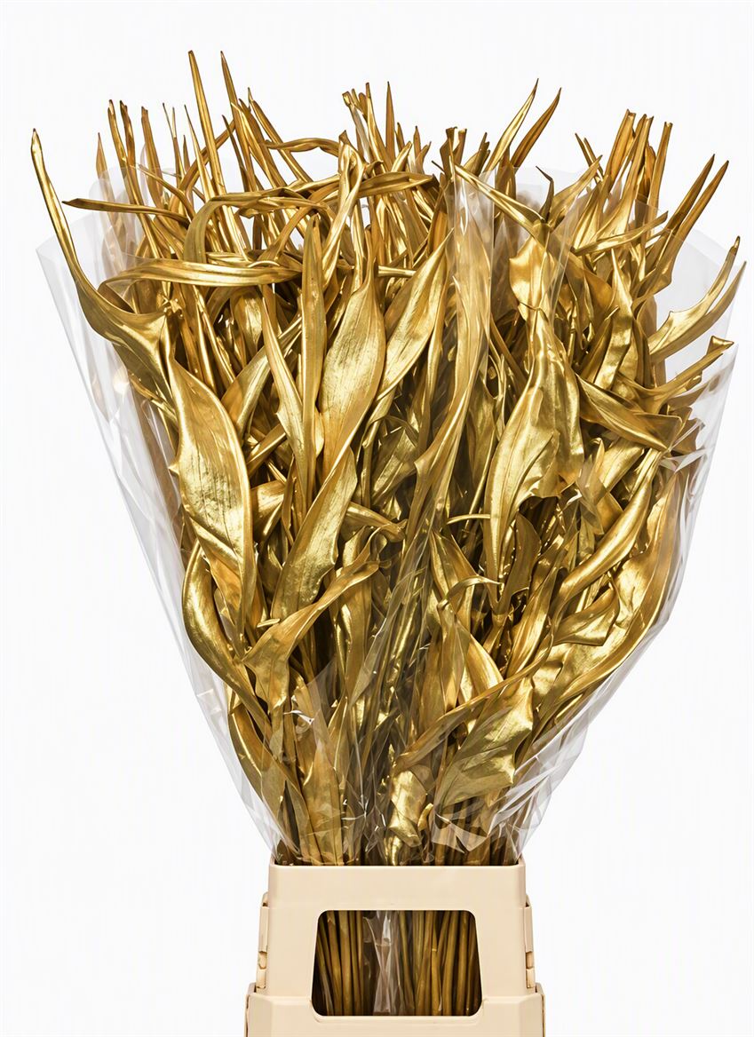 FeedSync:wholesale:acb5fa645f38c2627c74a49b6f833430b3d1e5cb