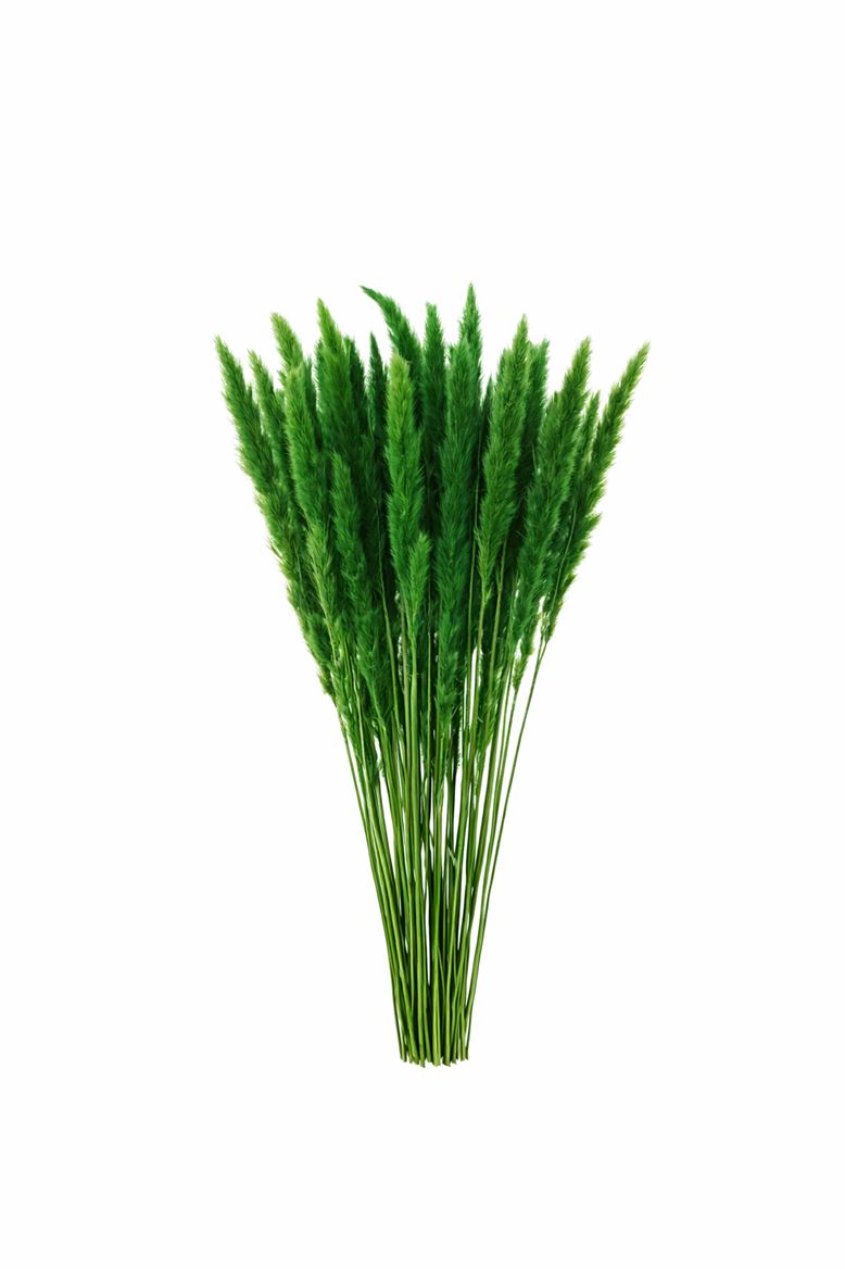 FeedSync:wholesale:f189e42e843e7d7953c6377d798d59b8ac792aa4