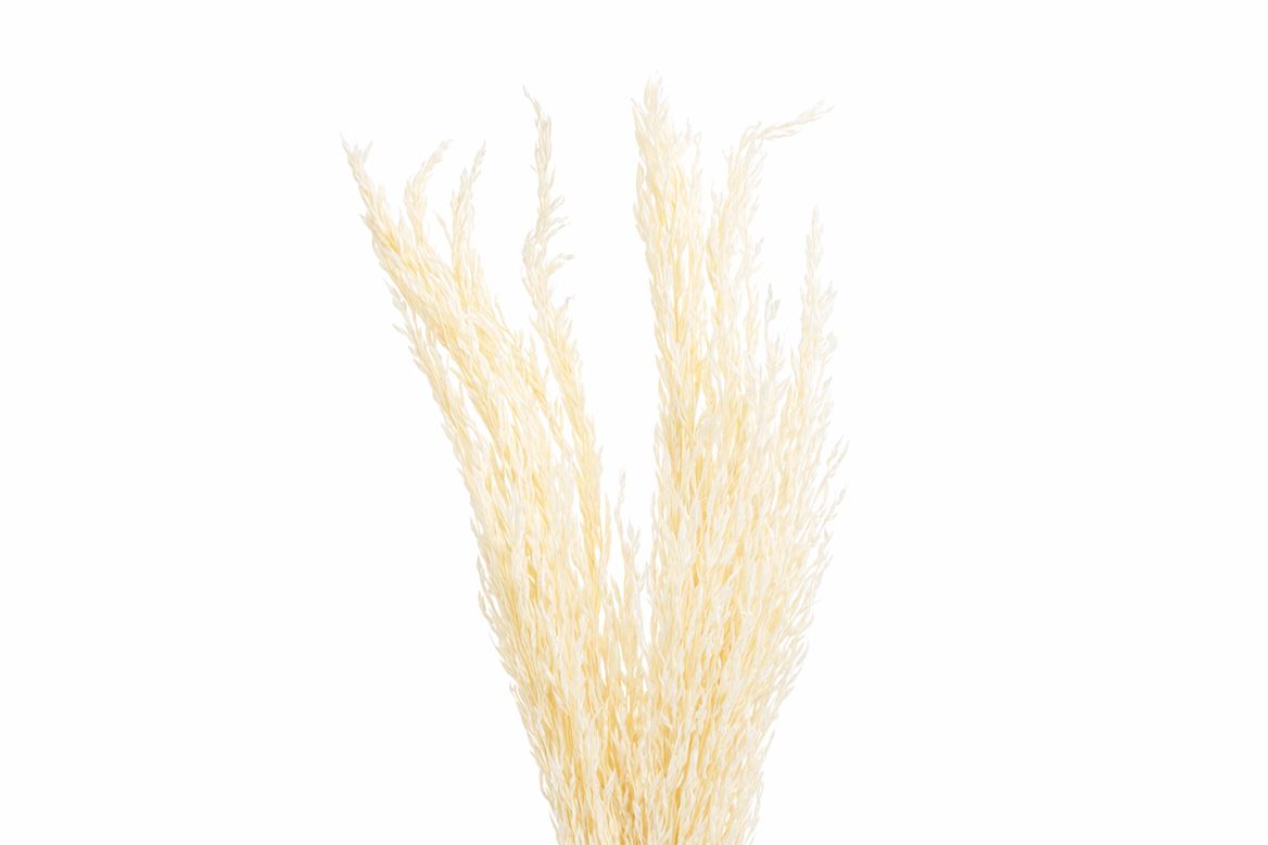 FeedSync:wholesale:62254b851bc582a7bcf2c54088c6309d4af3aebe