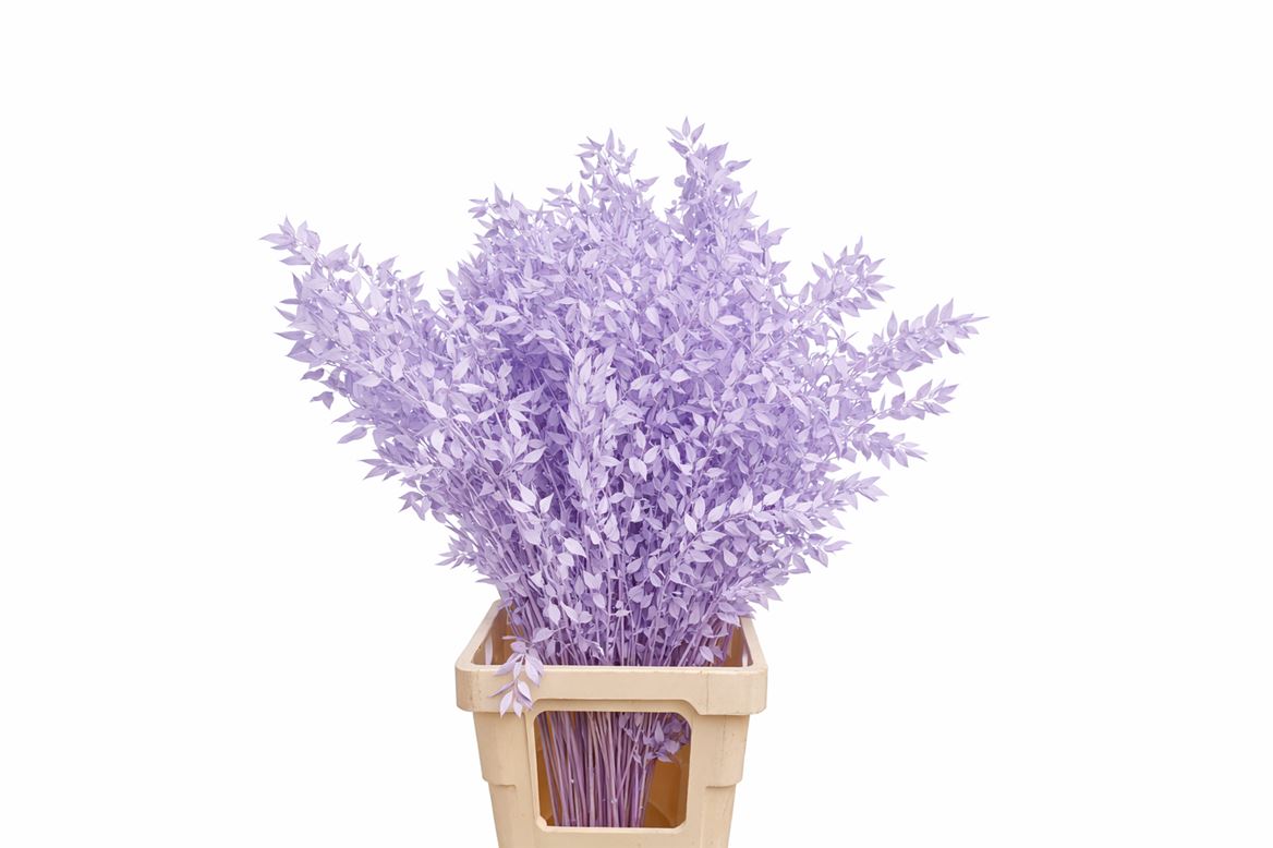 FeedSync:wholesale:035d96f3ec807d949b8ec00b28a1ebe62cf38056
