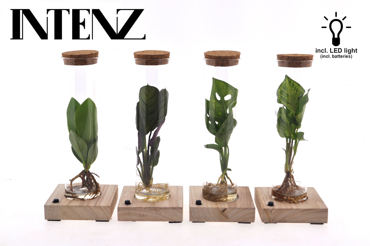 Opm Intenz Gemengd Glas Tube + Led