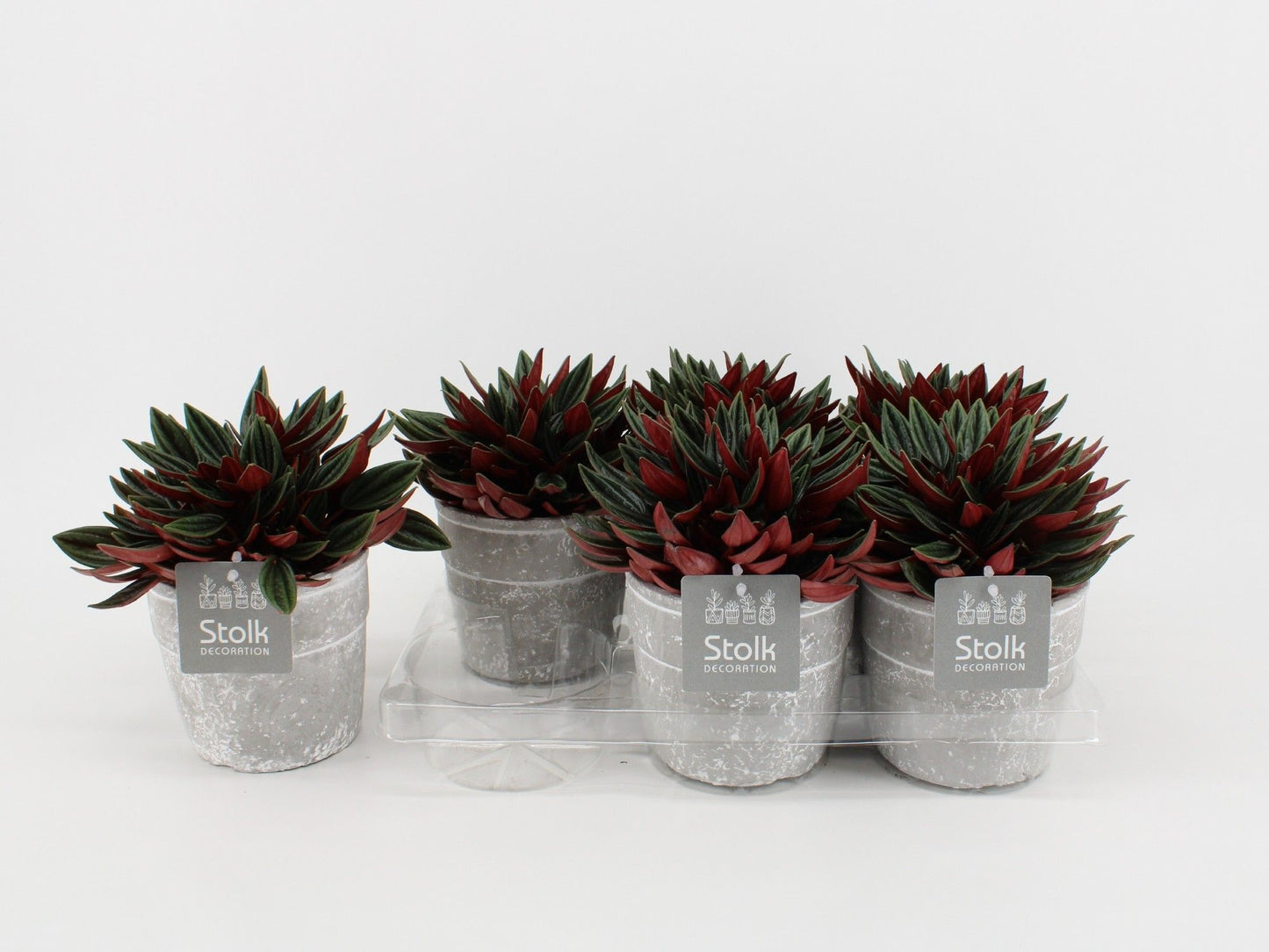 Pep Ca Rosso Keramiek Stone Look