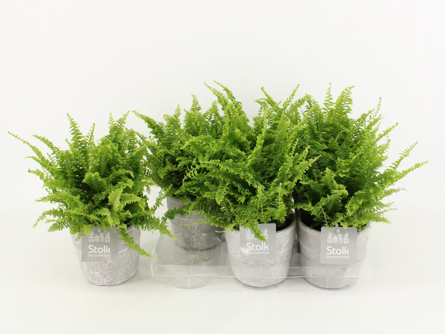 Nephr Ex Vitale Keramiek Stone Look