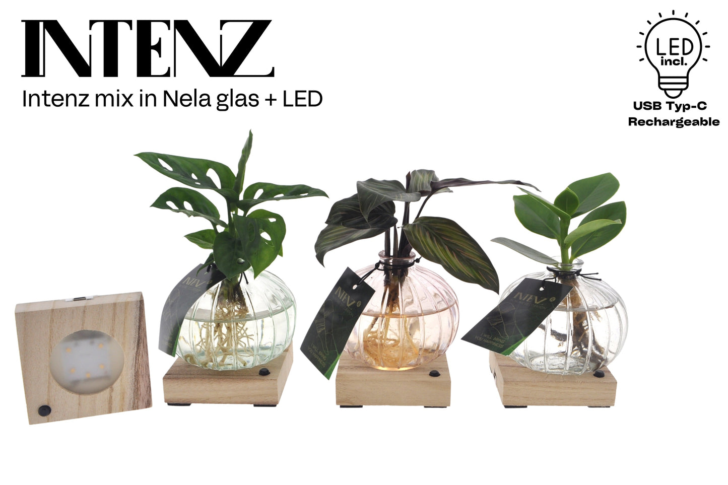Opm Intenz Gemengd Glas Nela + Led
