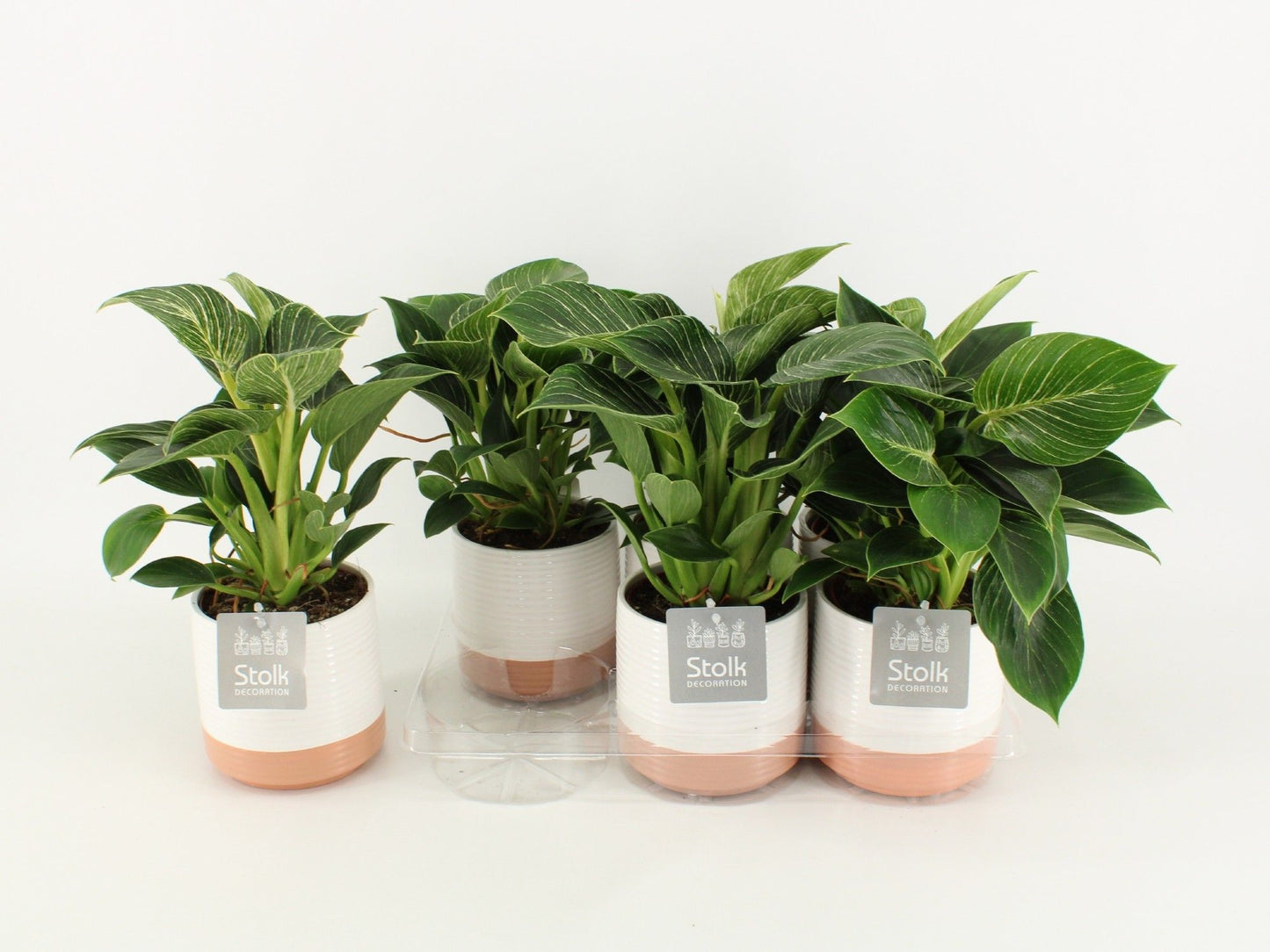 Phil White Wave Keramiek Milou