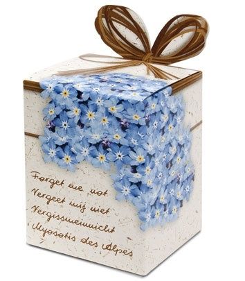 Bloembol Greengifts Vergeet Me Niet (x40)