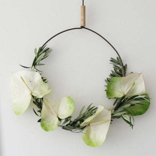 Anthurium Grace (12 Stems)