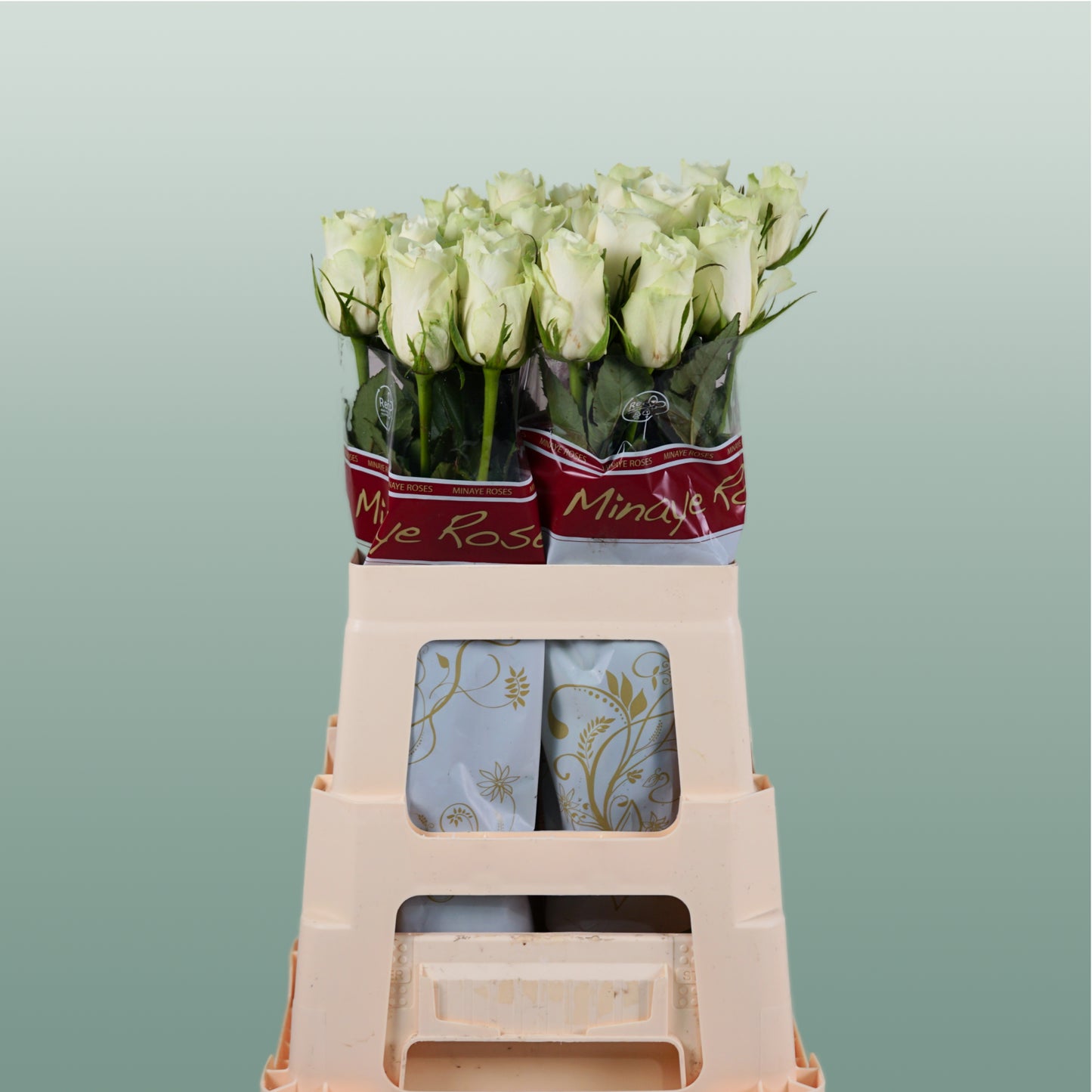 Rose Athena 40-60cm (20 Stems)